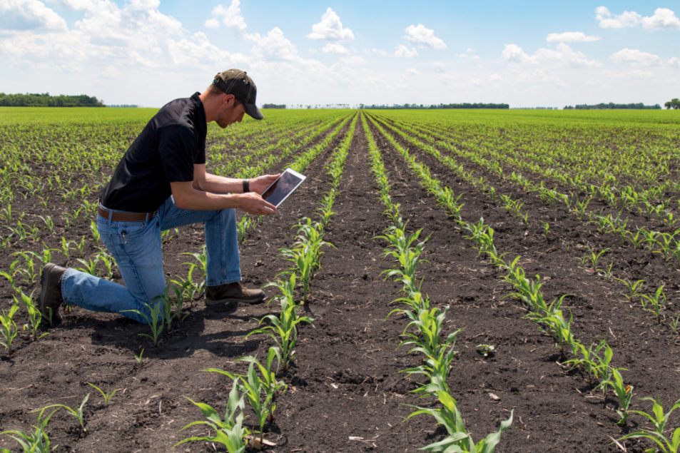 canada-invests-in-new-ag-sustainability-initiative-2020-02-26-world