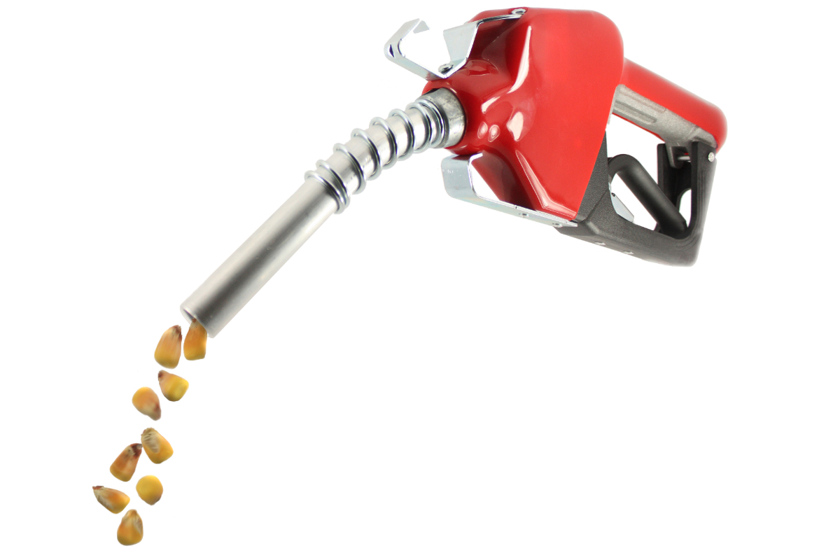 ADM to reduce ethanol production | 2020-04-24 | World Grain