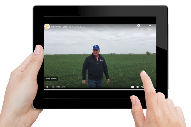 virtual wheat tour