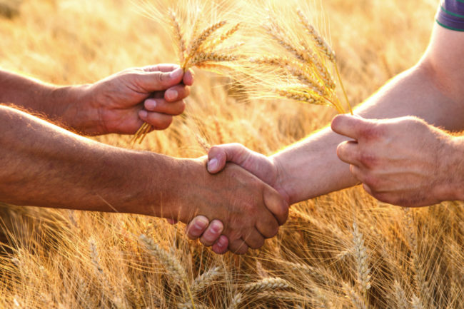 grain handling