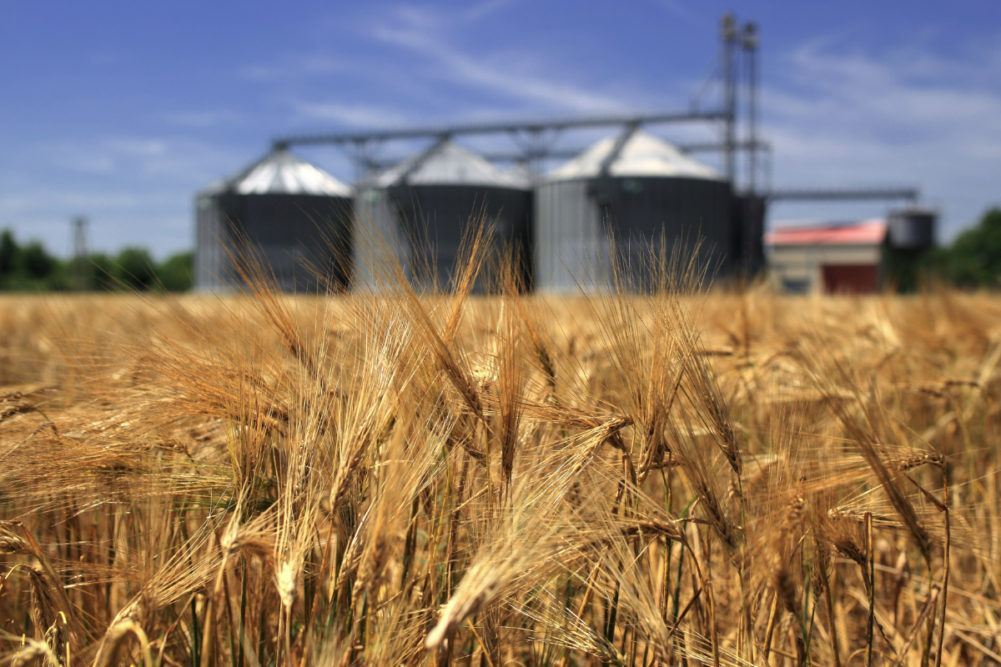 grain crops of the us