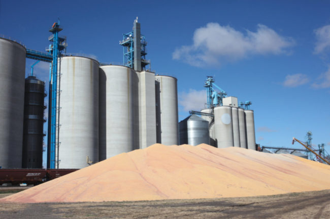 grain handling