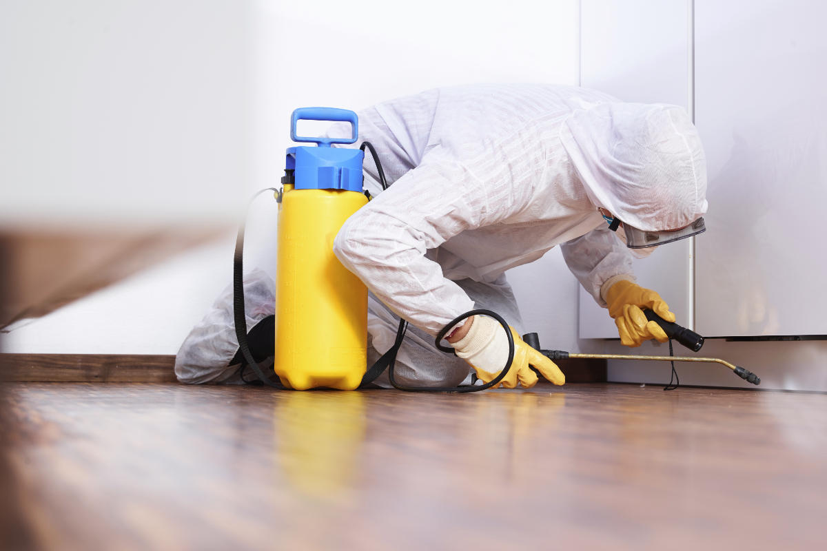 Best Pest Control Companies in Seattle (2021) - This Old House