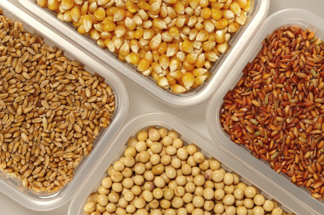 Grain kernels