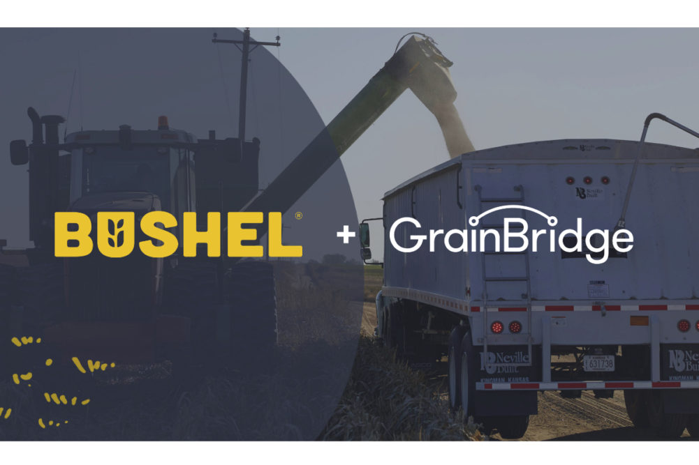 Bushel-Grain-Bridge.jpg