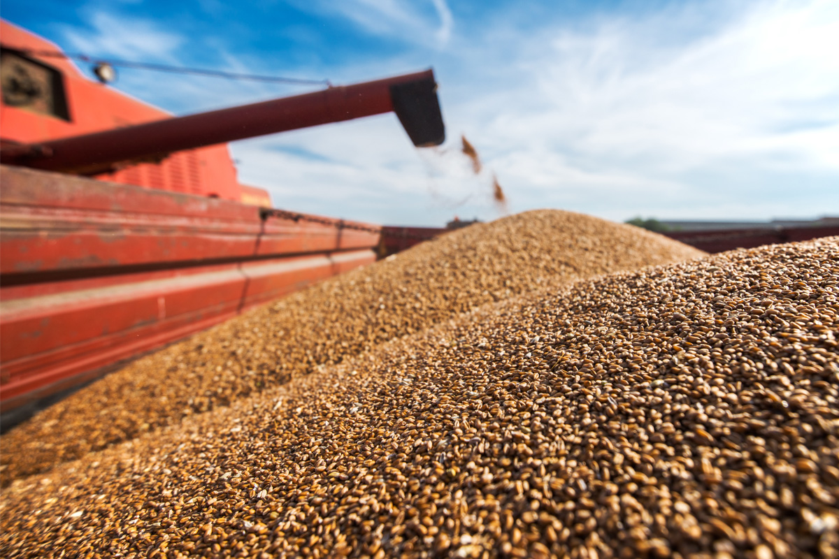 siemer milling wheat prices